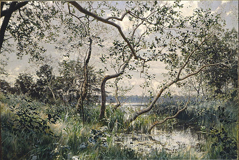 Water Vegetation. Motif from Östergötland