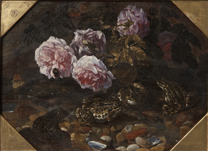 Still-life with frogs, wild roses, shells and butterflies
