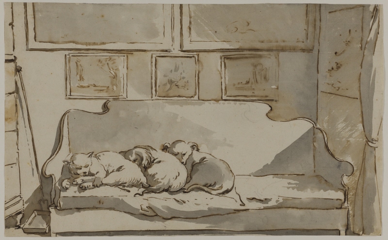En katt och två hundar sovande i en soffa