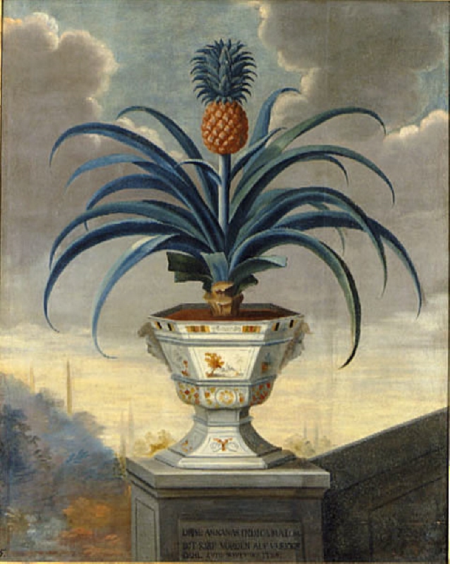 Pineapple in a pot at Ulriksdal Palace