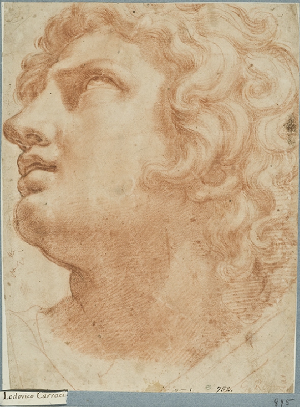 Head of a young man, looking up