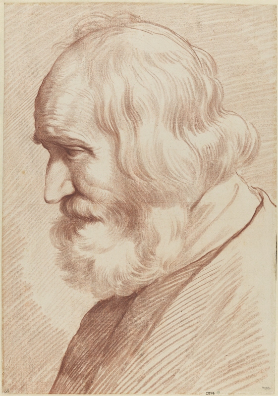 Head of an Elderly Man in Profile to the Left