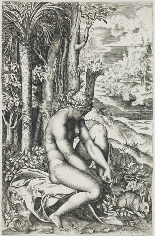 Venus Wounded by the Rose's Thorn