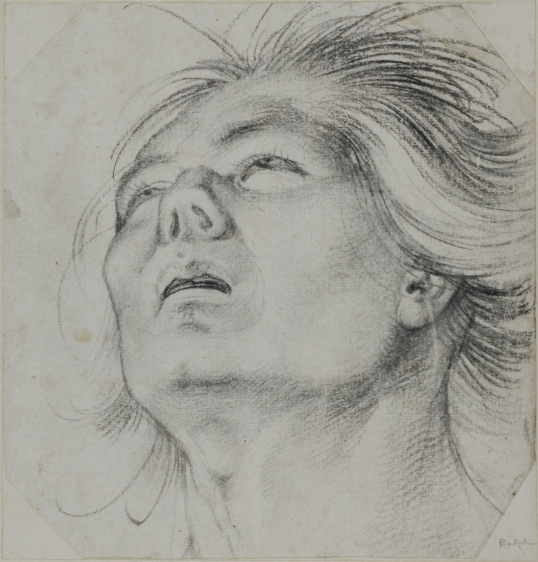 Head of a Young Man, Seen From Below