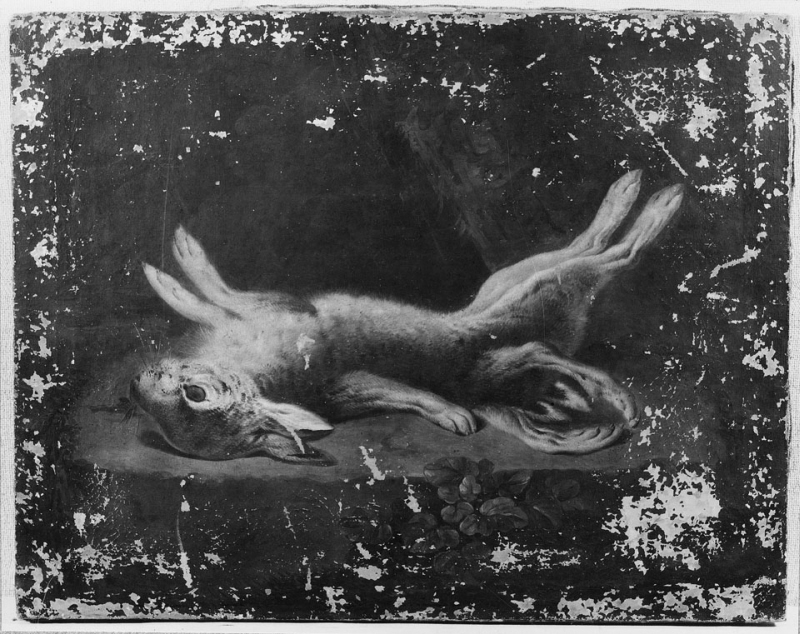 A Dead Malformed Hare