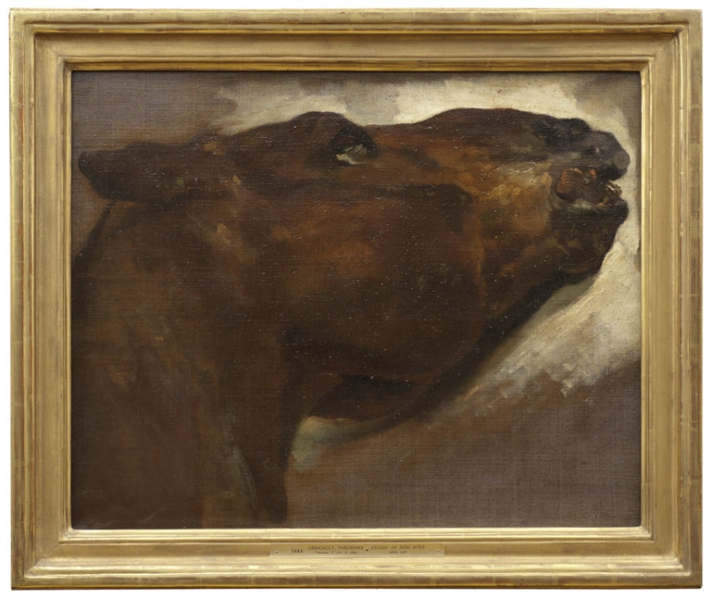 Study of a Dead Horse