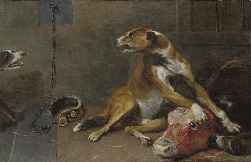 Dogs Fighting over a Flayed Ox's Head