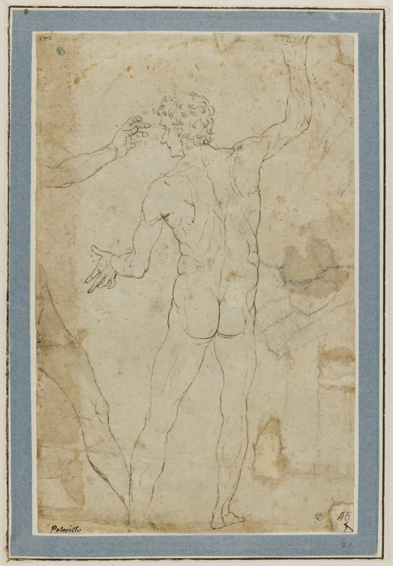 Study of Standing Male Nude seen from behind. To the left, the Arm and Leg of a second Figure