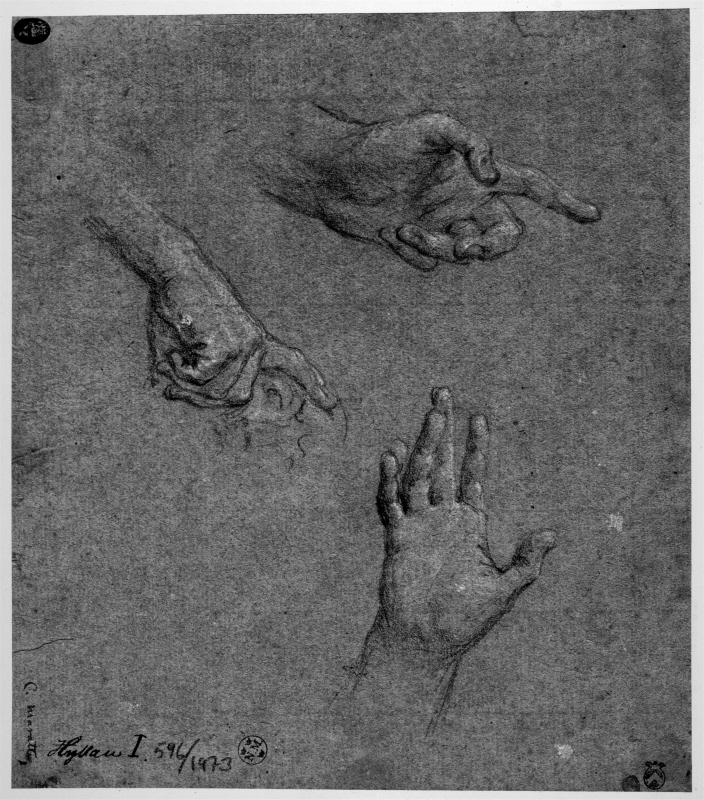 Studies of a left hand ponting, a right hand with the palm held open, and of a right hand supporting a head, the latter only lightly sketched
