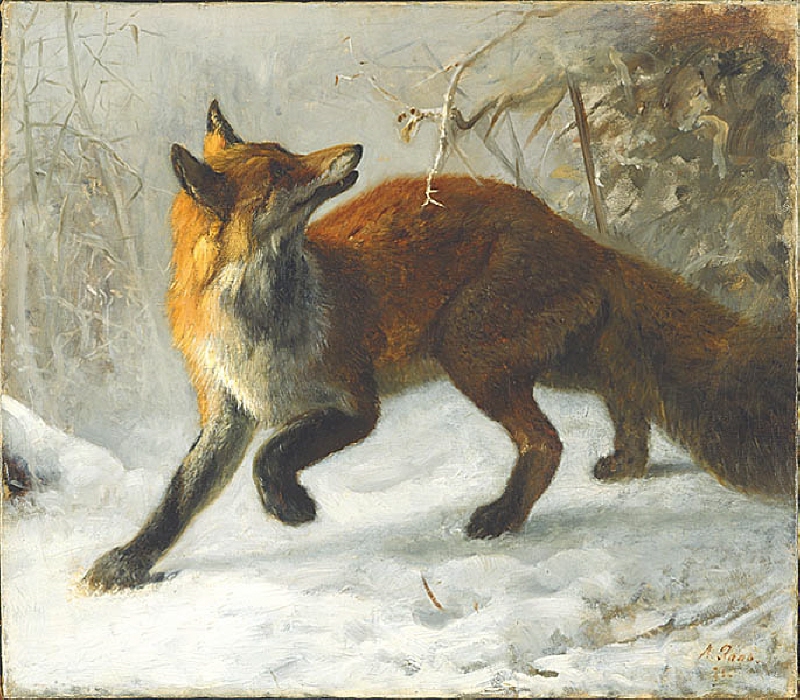 Fox in a Winter Landscepe