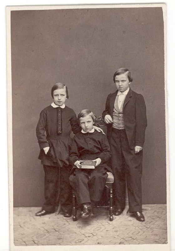 Carl, Johan Theodor och August Gripenstedt